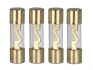 agu fuse 10 ampere gold 4 pieces in blister 1pc