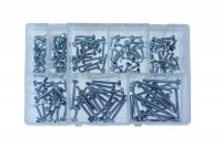  ASSORTMENT SELFDRILLING SCREWS ZINC PLATED HEX HEAD LARGE DIMENSIONS 160PCS