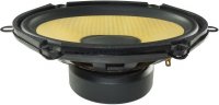 car specific speakers