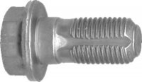 BANJO BOLT M10X1.00X27.2 SW13 (1PC)