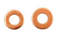 COMMON RAIL DIESEL INJECTOR WASHER 15,50X7,5X2,0 (50PCS)