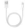 LIGHTNING SYNC & CHARGING CABLE APPLE (1PC)