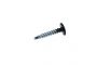 NO. PLATE SCREW STAINLESS STEEL WITH 6-LOBE BLACK 4,8X20MM (100PCS)