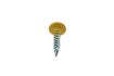 no plate screw stainless steel with 6lobe yellow 48x20mm 20pcs