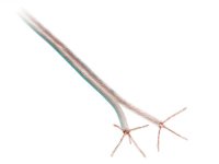 SPEAKER CABLE 2 X 4.00 MM TRANSPARENT MINT 100 METER (1PC)