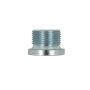 SUMP PLUG HD MAN M22X1,5X14 + WASHER OE: 06080420607 (1PC)