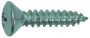TAPPING SCREW RAISED COUNTERSUNK HEAD DIN 7983CH PH ZINC PLATED 2,9X13 (100PCS)